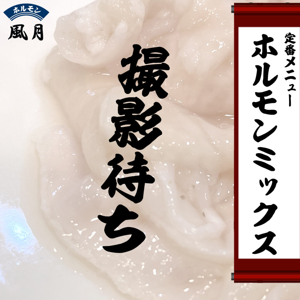 風月ホルモンミックス